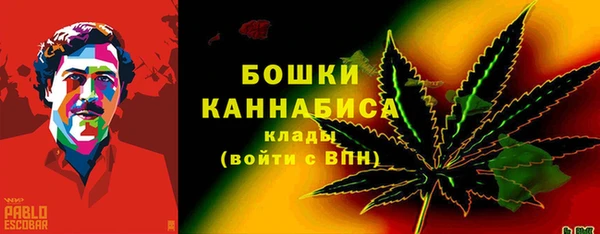 сатива Абинск