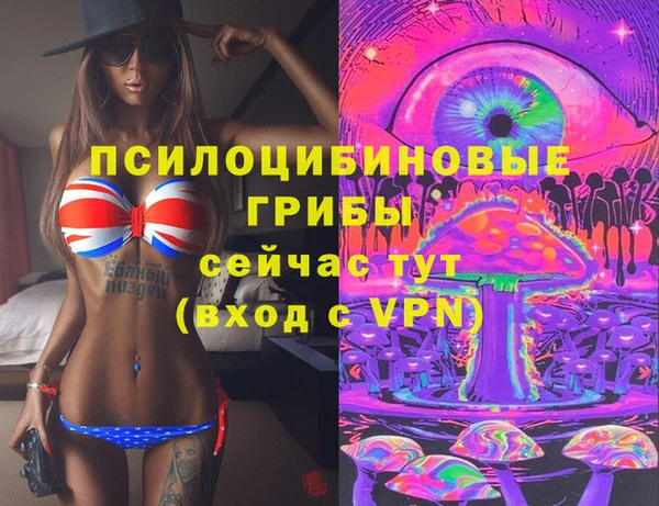 мдпв Абаза