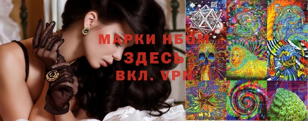 сатива Абинск