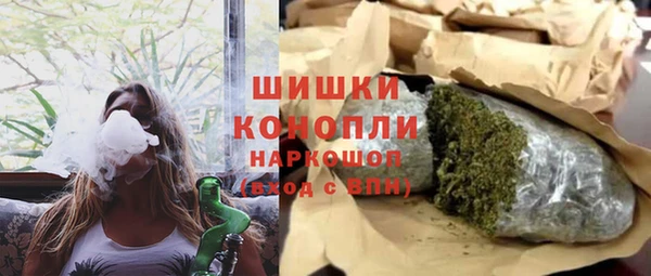 сатива Абинск