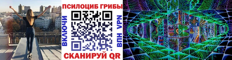 хочу   Тетюши  Псилоцибиновые грибы Psilocybine cubensis 